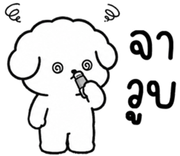 คอตตอน หมาน้อยแสนซน รูปที่ 32