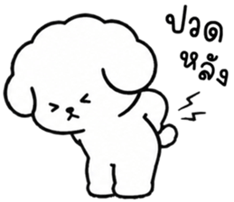 คอตตอน หมาน้อยแสนซน รูปที่ 35