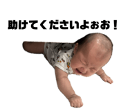 850486374