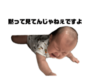 850486377