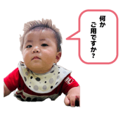 850486525