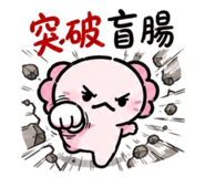 850487582