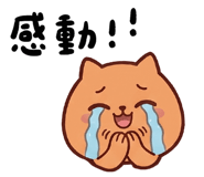 850487705