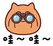 850487714