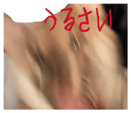 850488988