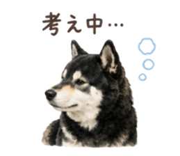 850488999