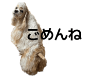 850490499