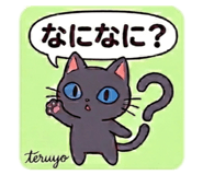 850492155