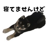 850492327