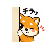 850492816
