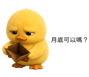 850496019