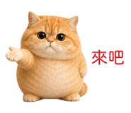 850496167