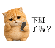 850496170