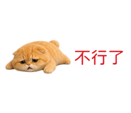 850496171