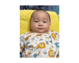 850498907