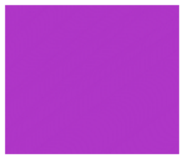 850534531