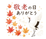 850570260