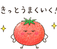 850570747