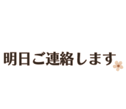 850573206