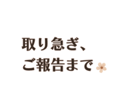850573207
