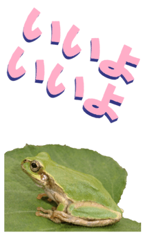 850575257