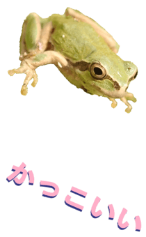 850575261