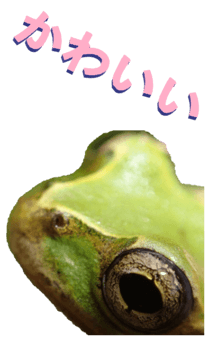 850575263