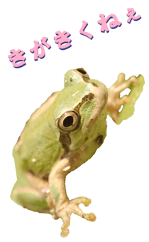 850575265