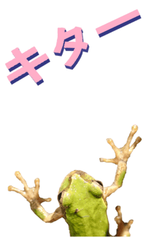 850575266
