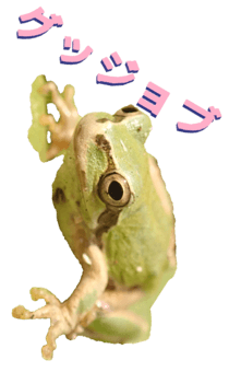 850575267