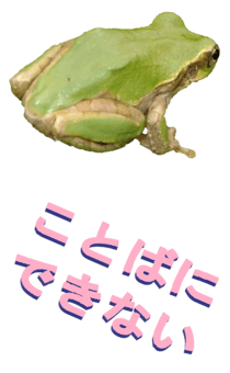 850575269