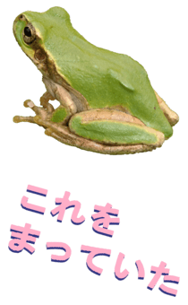 850575271