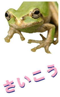 850575273