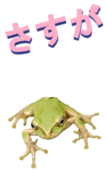 850575274