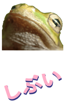 850575275