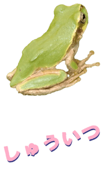 850575277