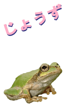850575278
