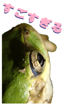 850575279