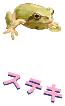 850575281