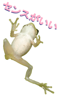 850575283
