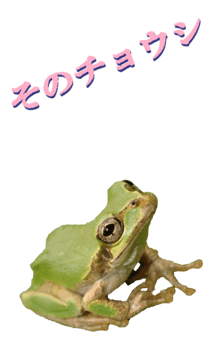 850575284