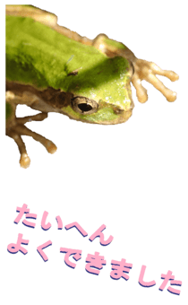 850575286