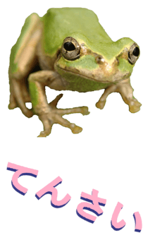 850575288