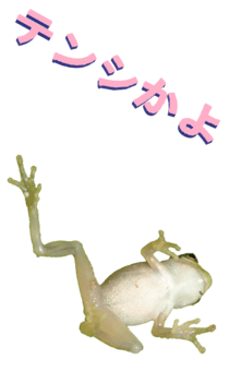 850575289