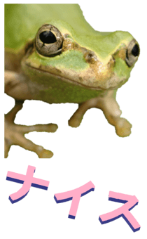 850575290