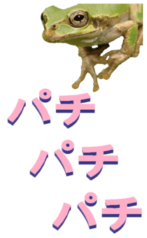 850575291
