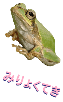 850575293
