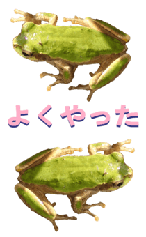 850575296
