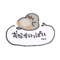 850576158