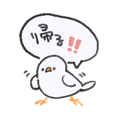 850576162